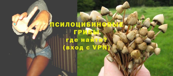 таблы Ладушкин
