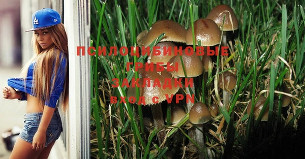 таблы Ладушкин
