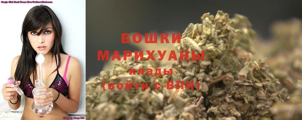 индика Лабытнанги