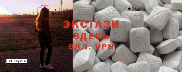 индика Лабытнанги