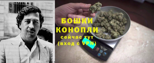 индика Лабытнанги