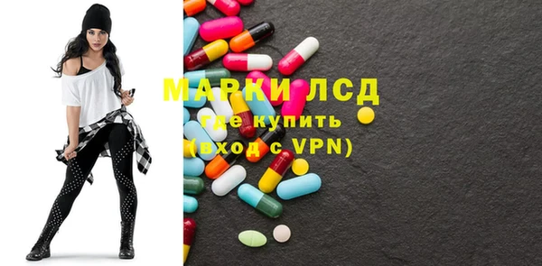 индика Лабытнанги