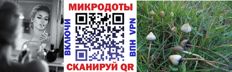 Псилоцибиновые грибы ЛСД  Купить закладки  Певек 